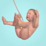 9-months.png